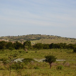 2015-05 South Africa/iMfolozi/DSC_0048.JPG